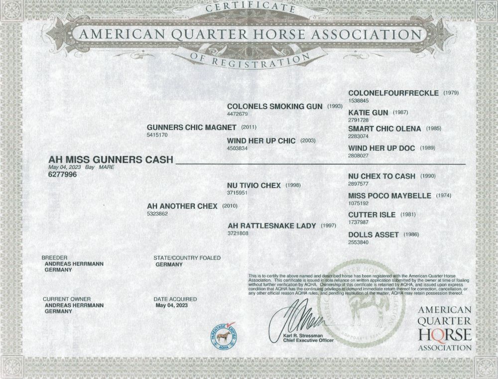 AH MISS GUNNERS CASH Stammbaum